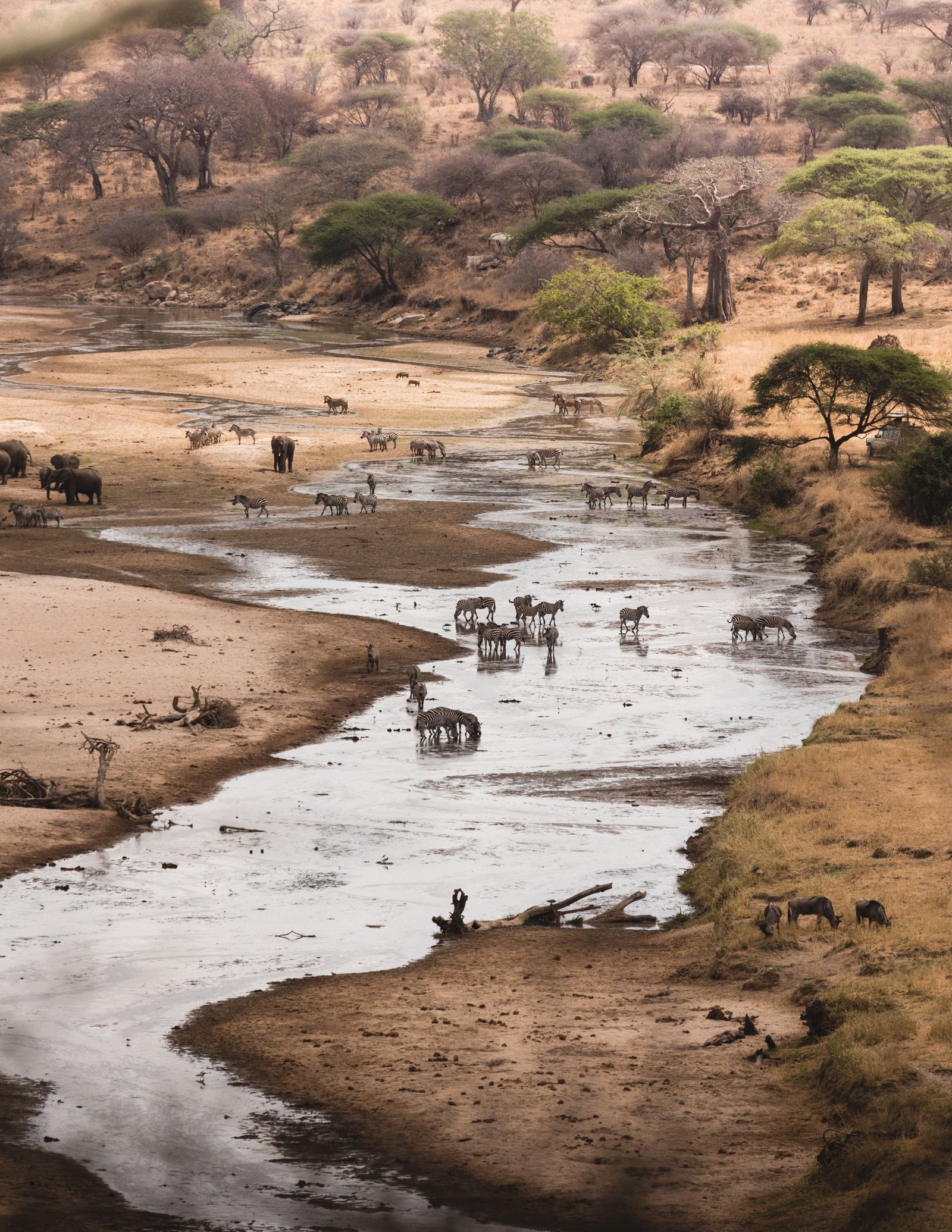 SHRINKING WATER BODIES. IT'S HIGH TIME WE THINK !