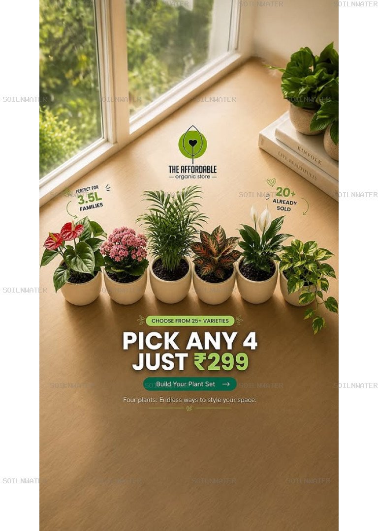 The Affordable Organic Store